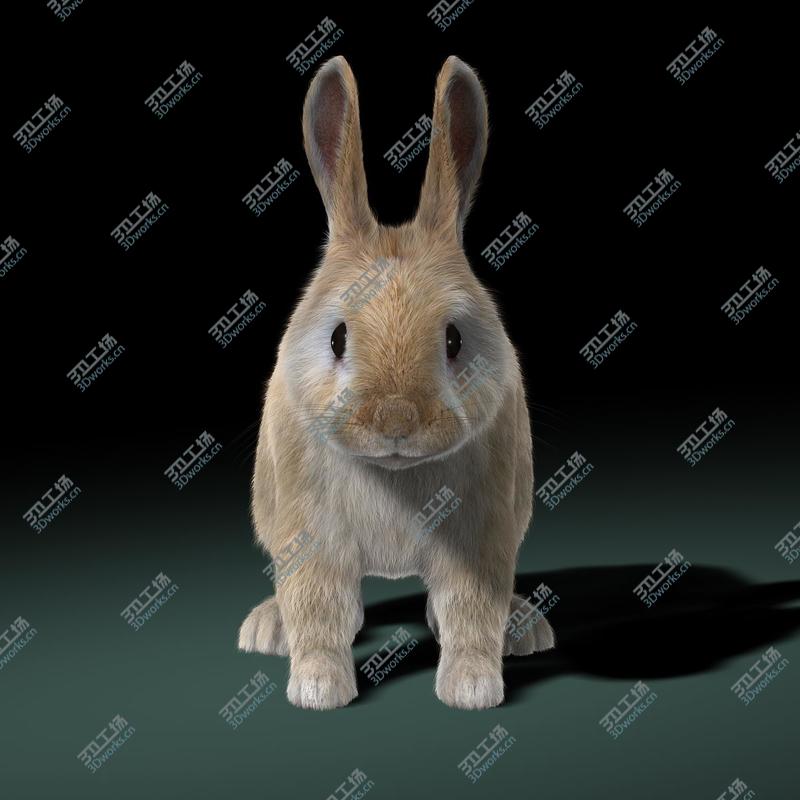 images/goods_img/202104094/Rabbit (Cream) (FUR)/3.jpg